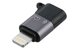 Redukce USB C(F) - Lightning (M), stříbrná